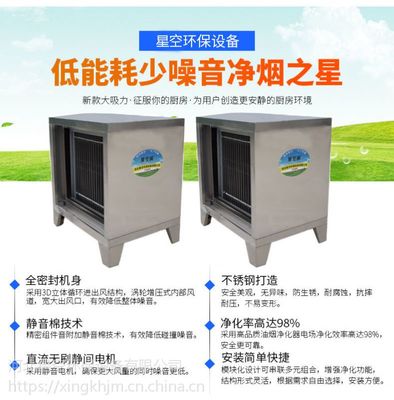 油烟净化器6000风量(双灶)不锈钢材质 厨房油烟净化低空排放河北星空环保